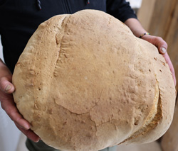 PANE
